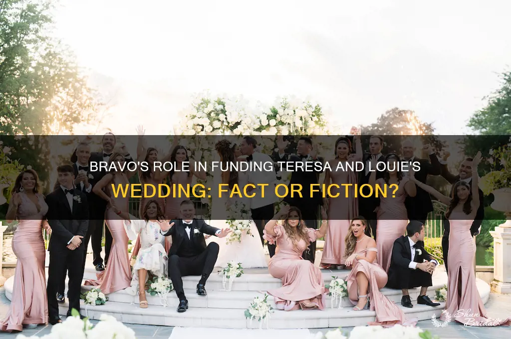 did bravo pay for teresa and louie