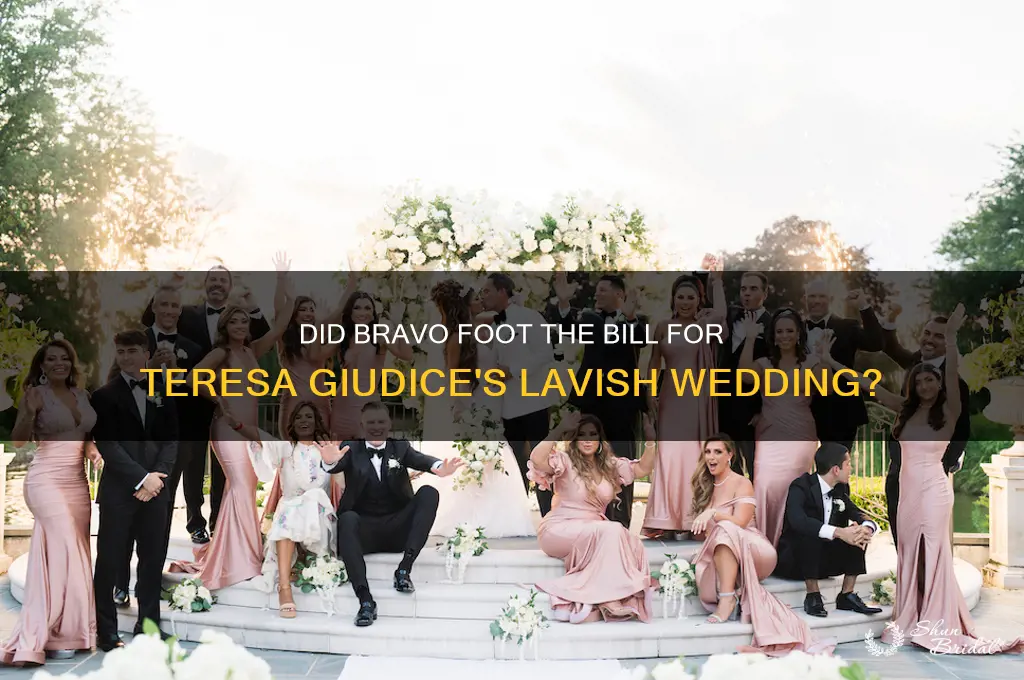 did bravo pay for teresa giudice wedding
