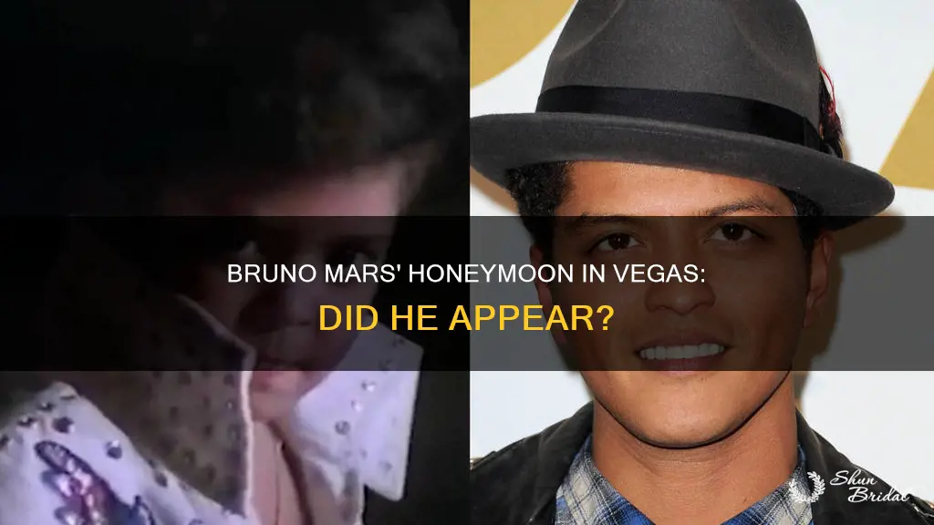 did bruno mars appear in honeymoon in vegas