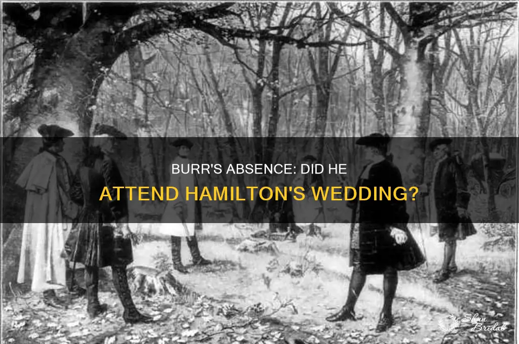 did burr go to hamilton