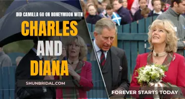 Honeymoon Trio: Camilla, Charles, and Diana's Odd Vacation