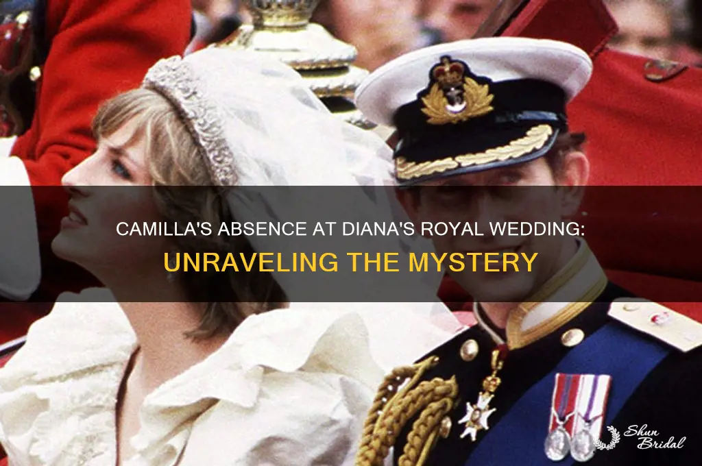 did camilla go to diana