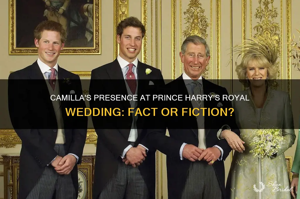did camilla go to harry