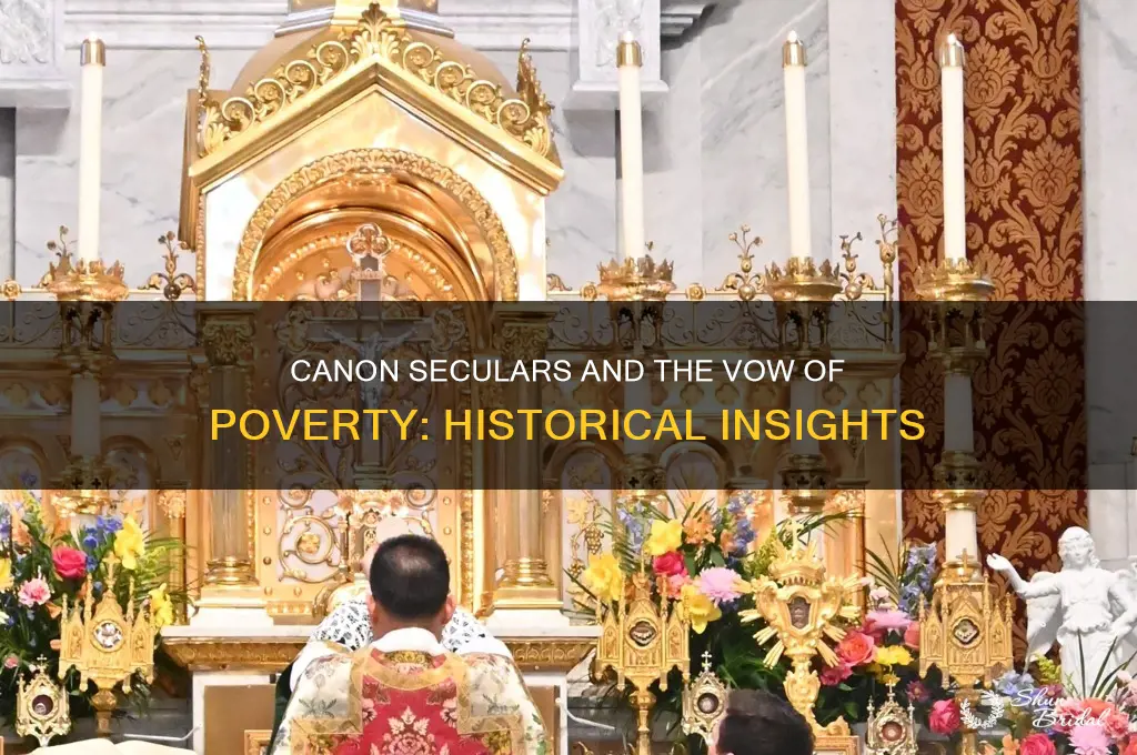 did canon seculars take the vow of pov