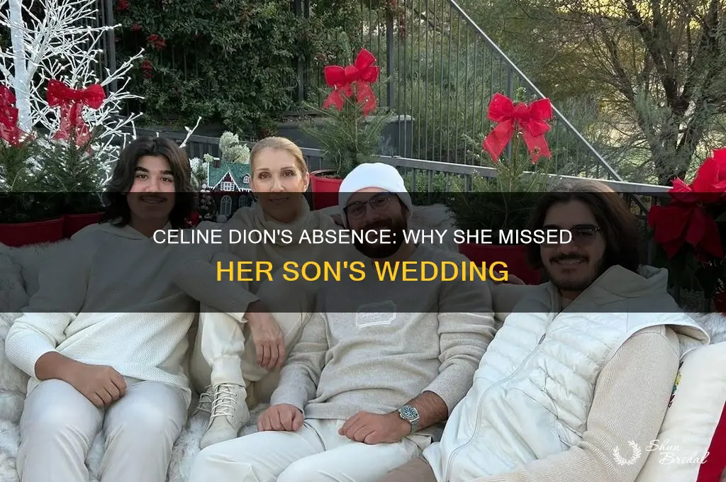 did celine dion go to her son