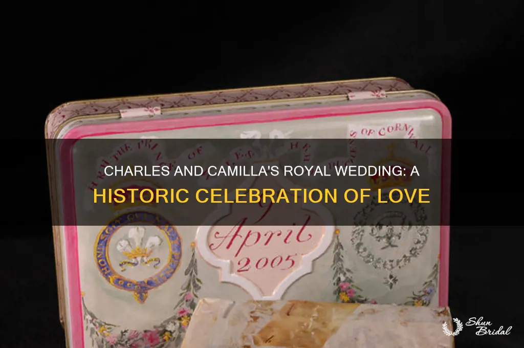 did charles and camilla have a royal wedding