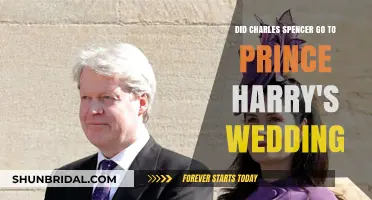 Charles Spencer's Absence: Why He Missed Prince Harry's Royal Wedding