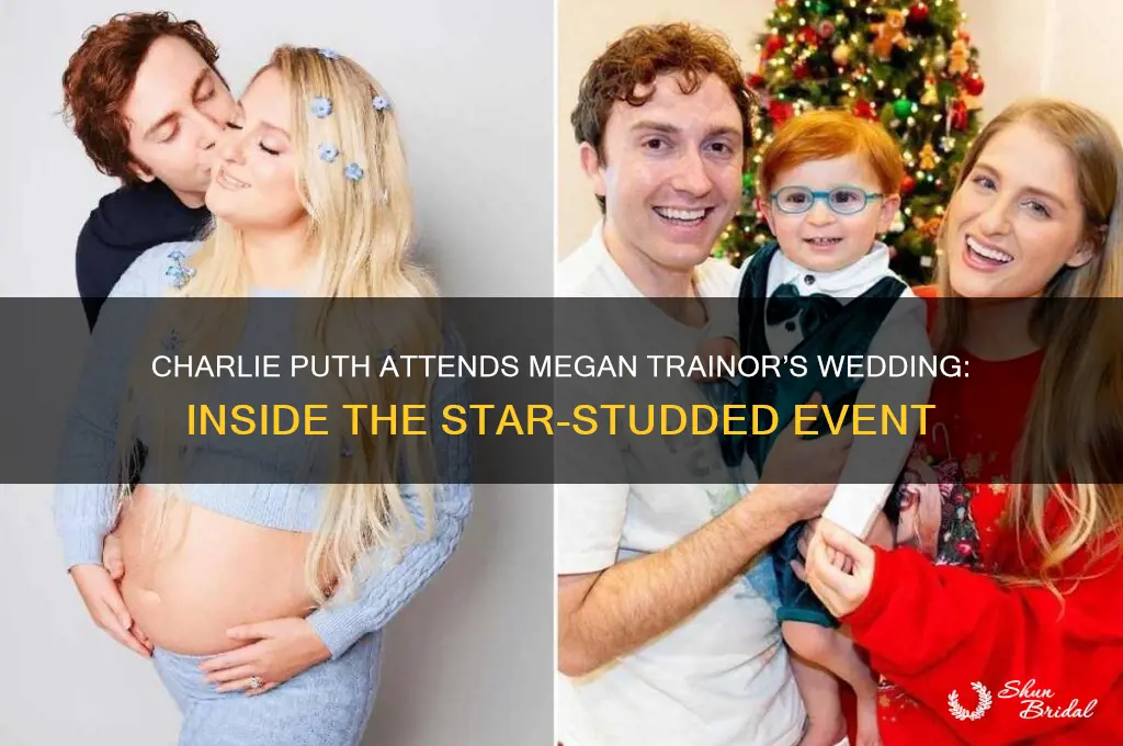 did charlie puth go to megan trainor