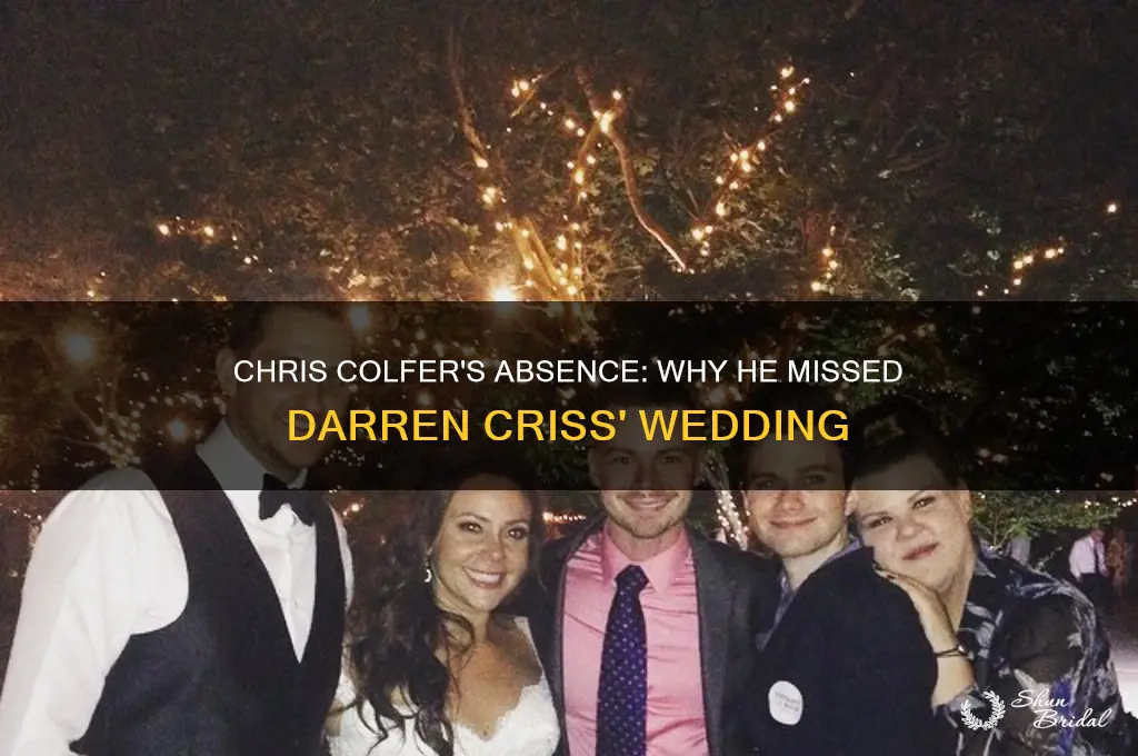 did chris colfer go to darren criss wedding