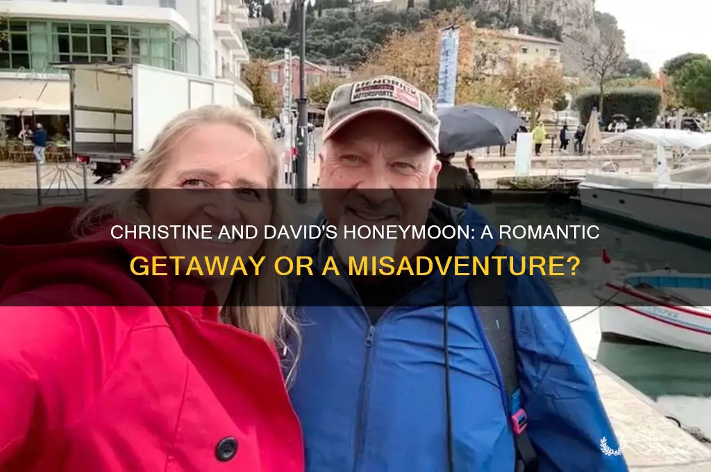 did christine and david go on a honeymoon