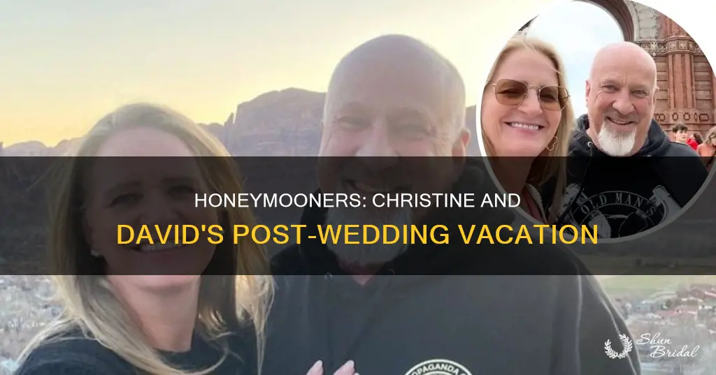 did christine and david go on a honeymoon