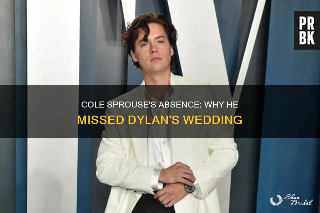 did cole sprouse go to dylan