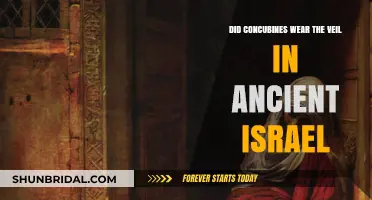 Veiled Concubines: Uncovering Ancient Israel's Practices and Cultural Norms