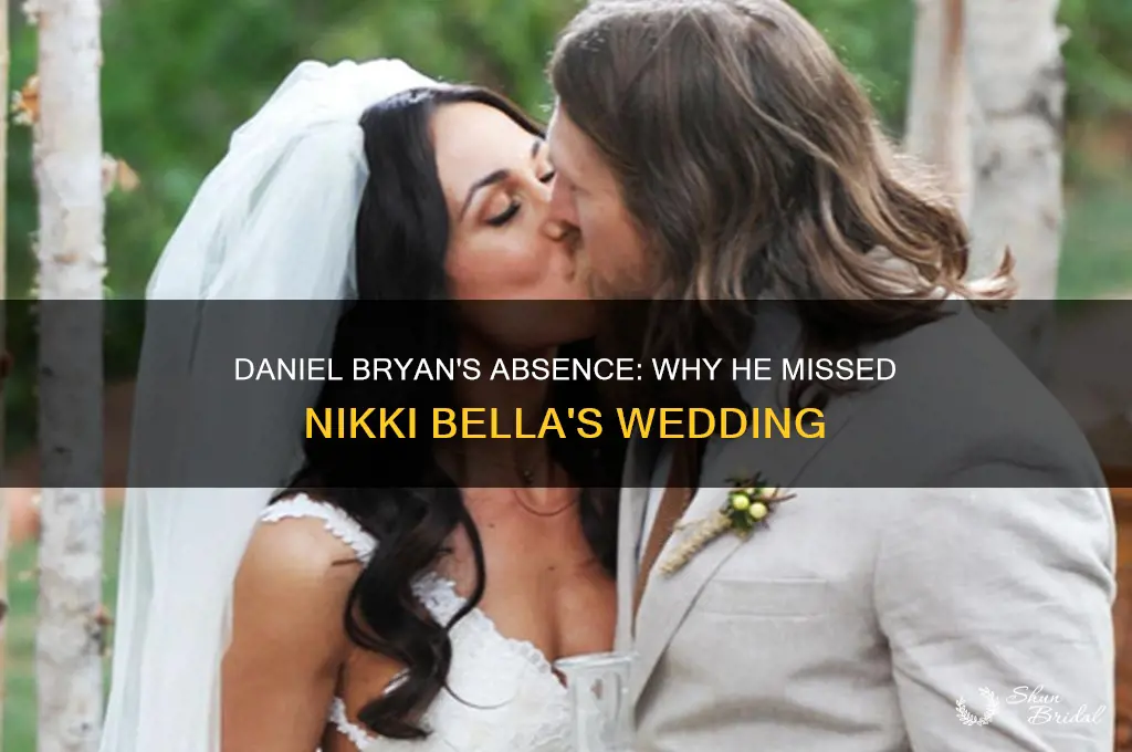 did daniel bryan go to nikki bella wedding