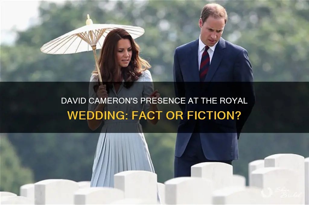 did david cameron attend royal wedding