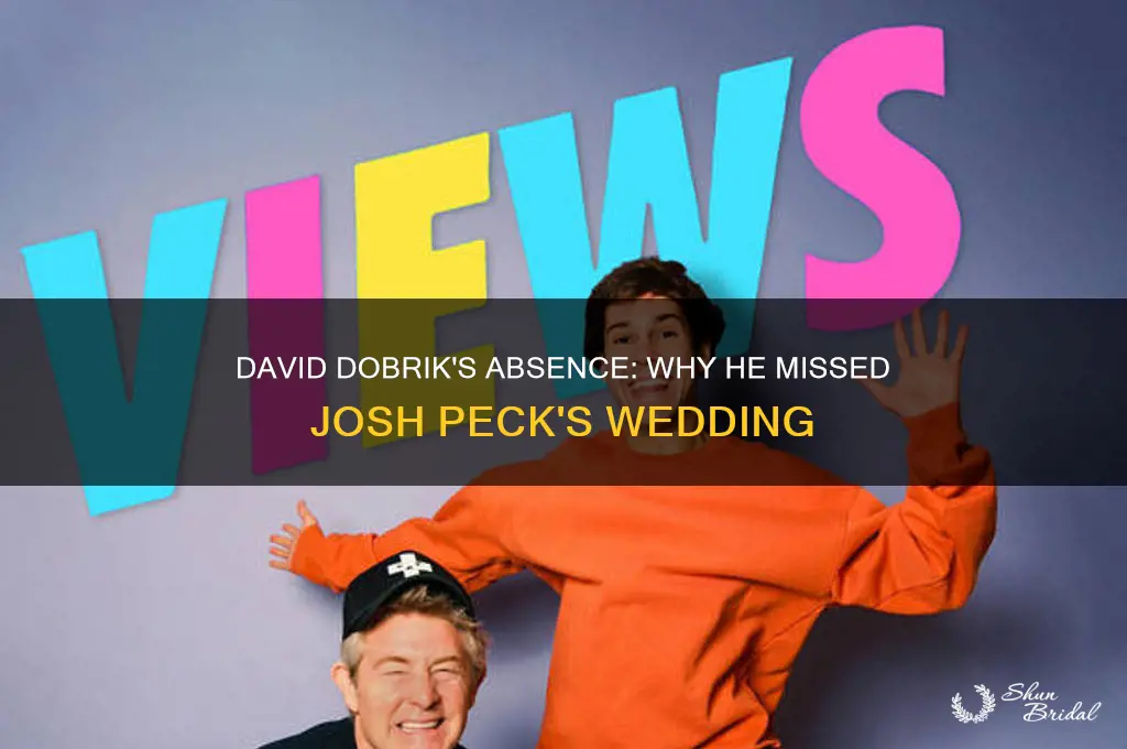 did david dobrik go to josh peck