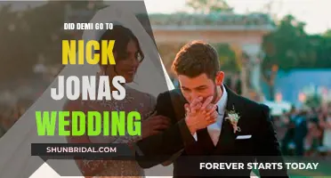 Did Demi Lovato Attend Nick Jonas' Wedding? The Truth Revealed