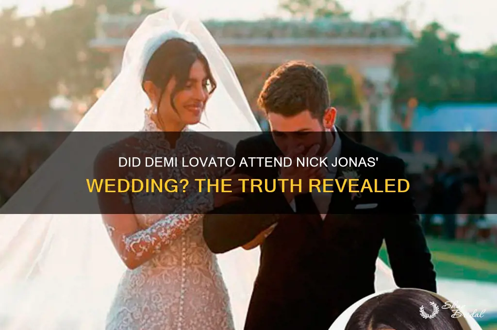 did demi go to nick jonas wedding