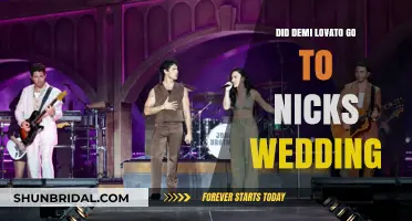 Demi Lovato's Absence: Why She Missed Nick Jonas' Wedding