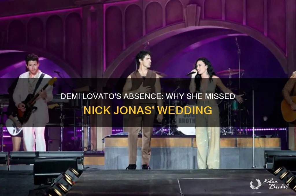 did demi lovato go to nicks wedding
