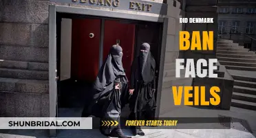 Denmark's Face Veil Ban: Unveiling the Law and Its Impact