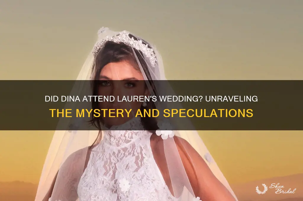 did dina go to lauren