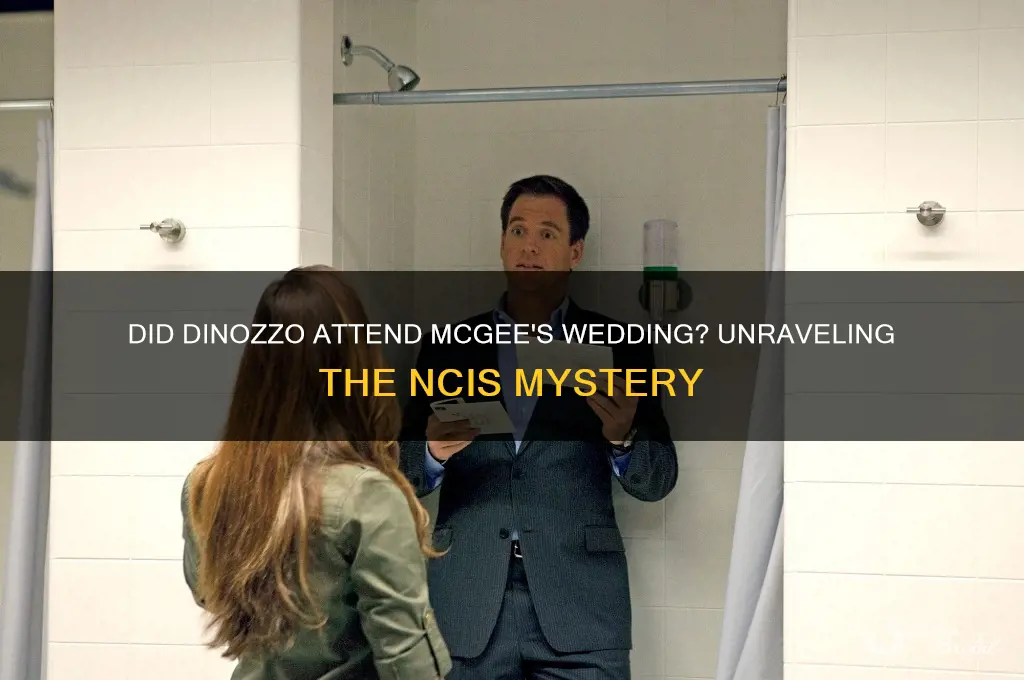 did dinozo go to mcgee wedding