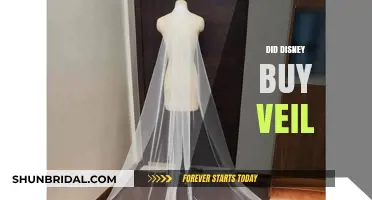 Did Disney Acquire Veil? Unraveling the Rumors and Facts