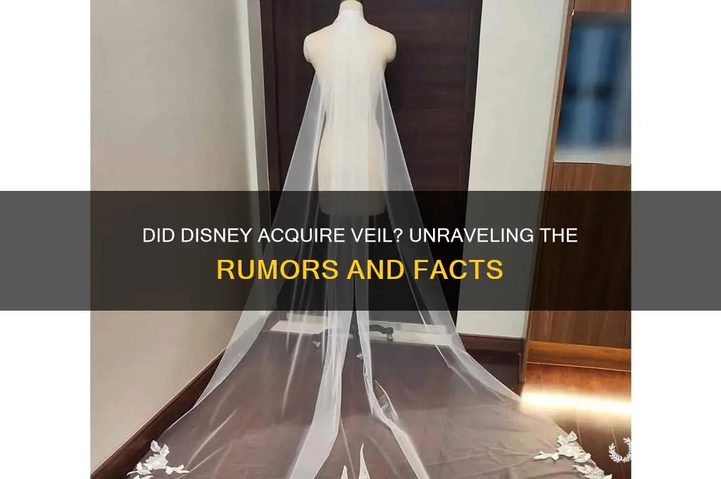 did disney buy veil