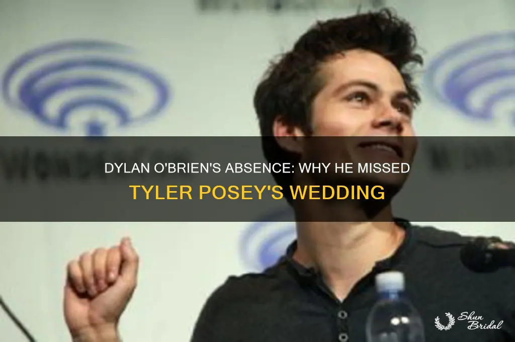 did dylan obrien go to tyler poseys wedding