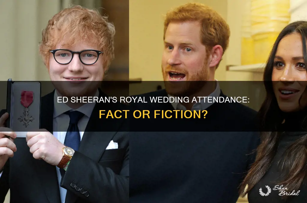 did ed sheran go to the royal wedding