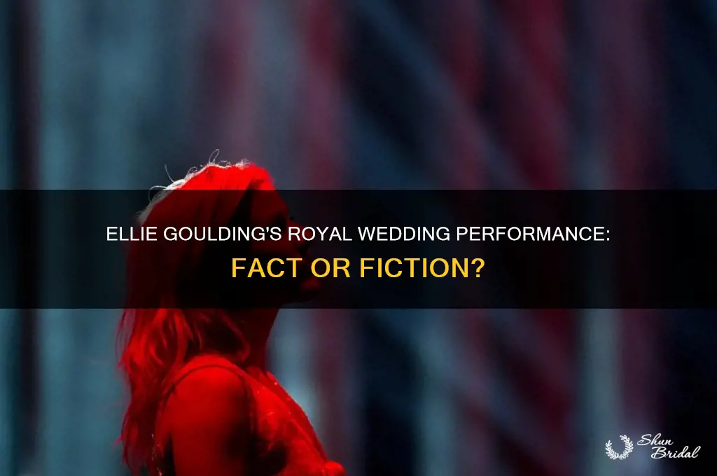 did ellie goulding perform at the royal wedding