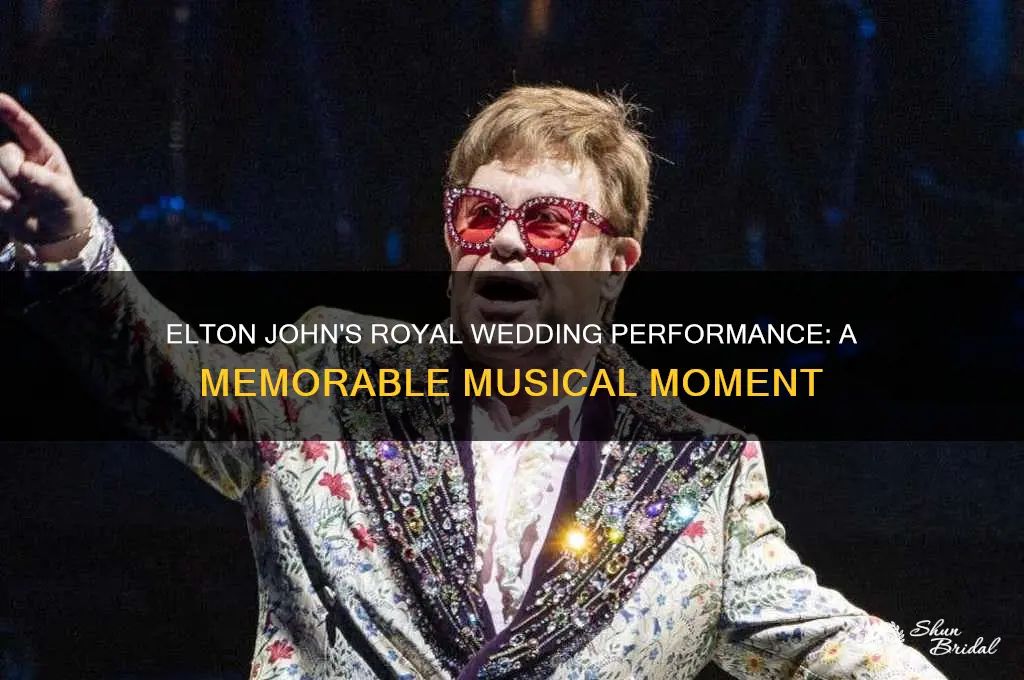 did elton john at royal wedding