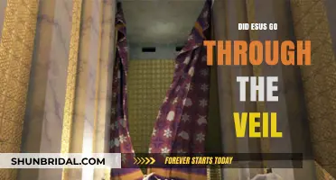Did Jesus Go Through the Veil? Exploring the Biblical Significance