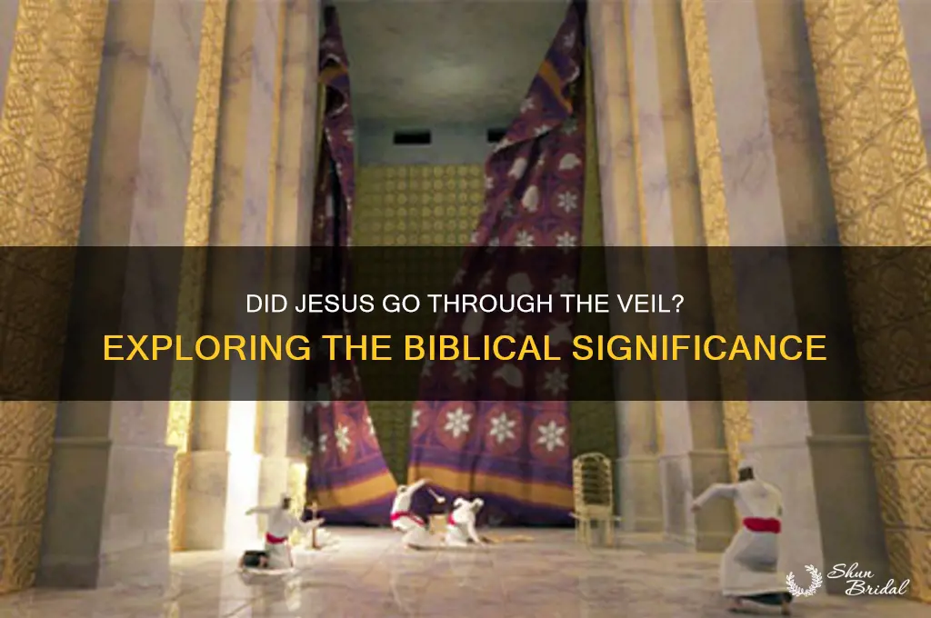 did esus go through the veil