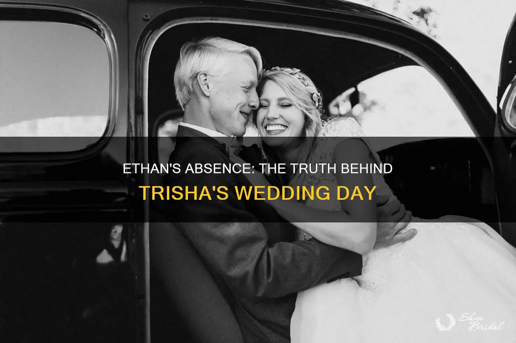 did ethan go to trisha wedding