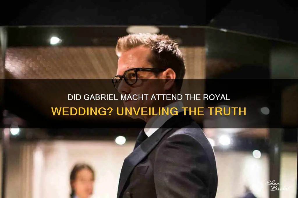 did gabrial macht attend the royal wedding