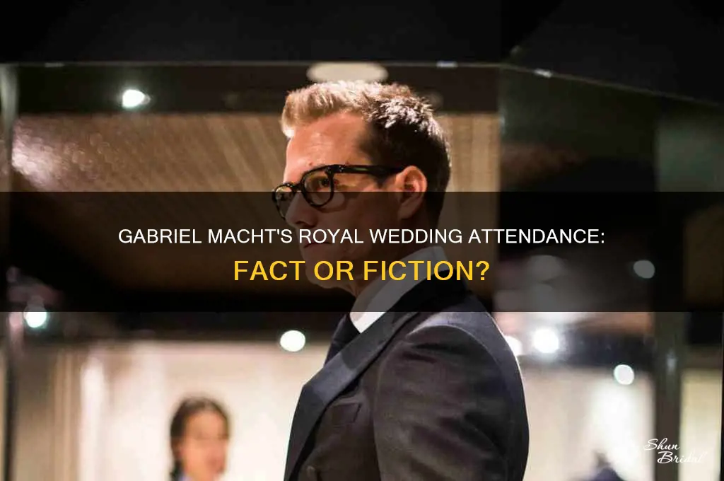 did gabriel macht attend the royal wedding