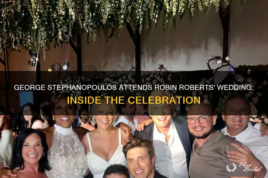 did george stephanopoulos go to robin roberts wedding