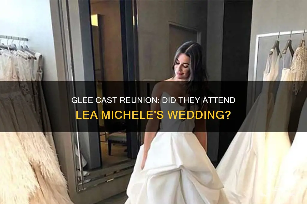 did glee go to lea michele