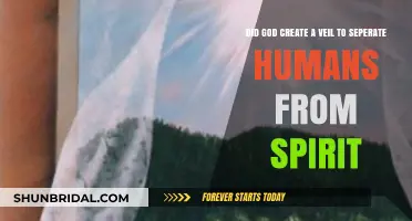 Did God Create a Veil? Exploring the Divide Between Humans and Spirit