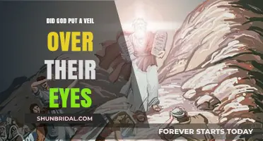 Did God Veil Their Eyes? Exploring Biblical Interpretations and Meanings