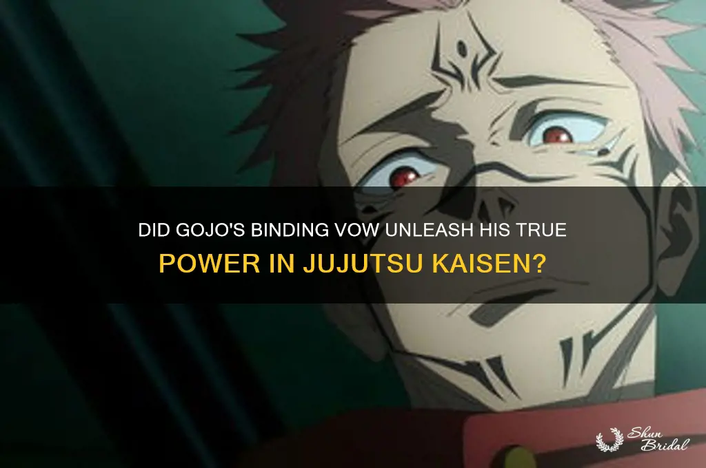did gojo make a binding vow
