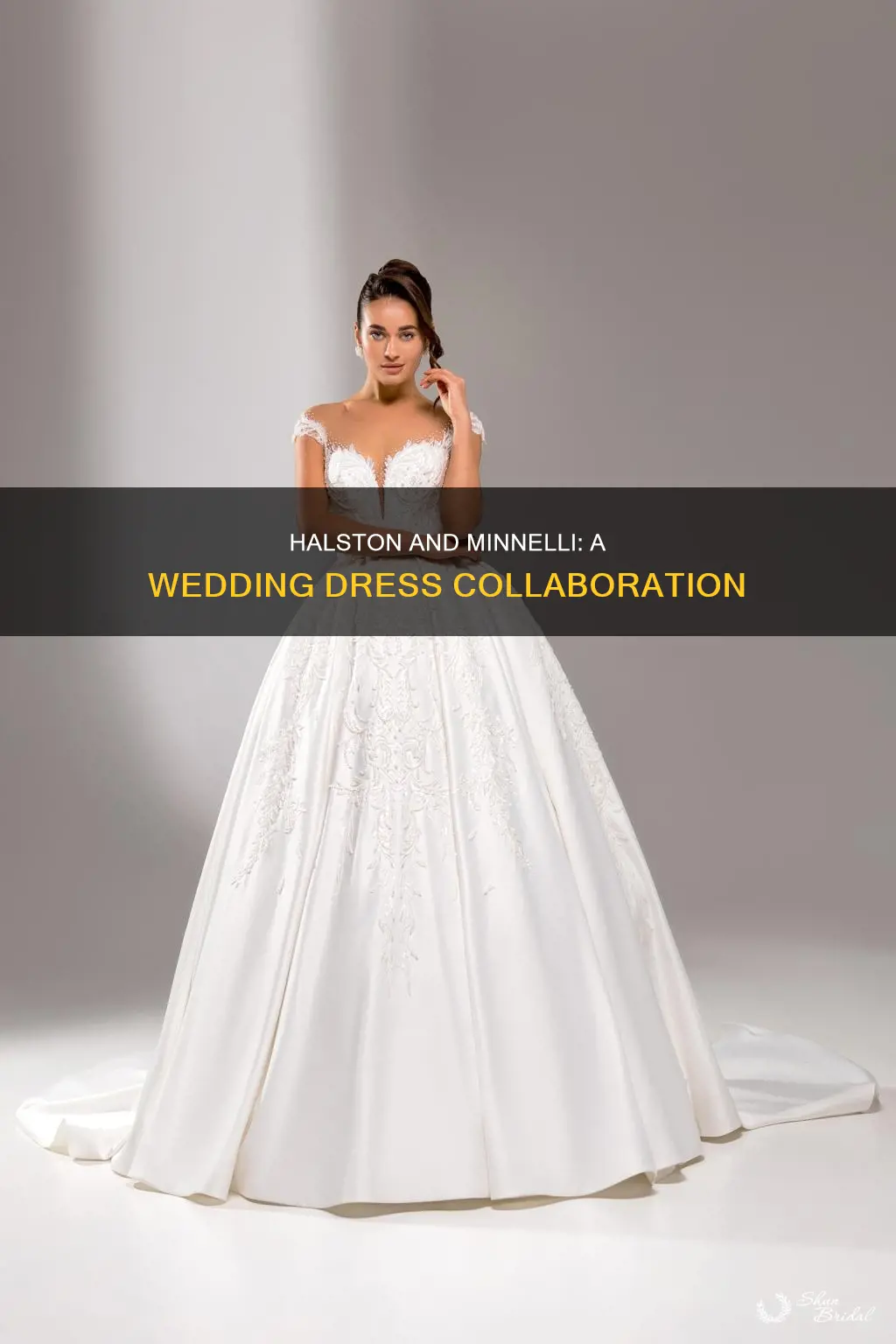 did halston design liza minnelli