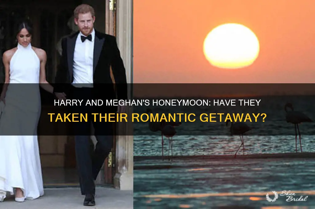 did harry and meghan go on their honeymoon yet
