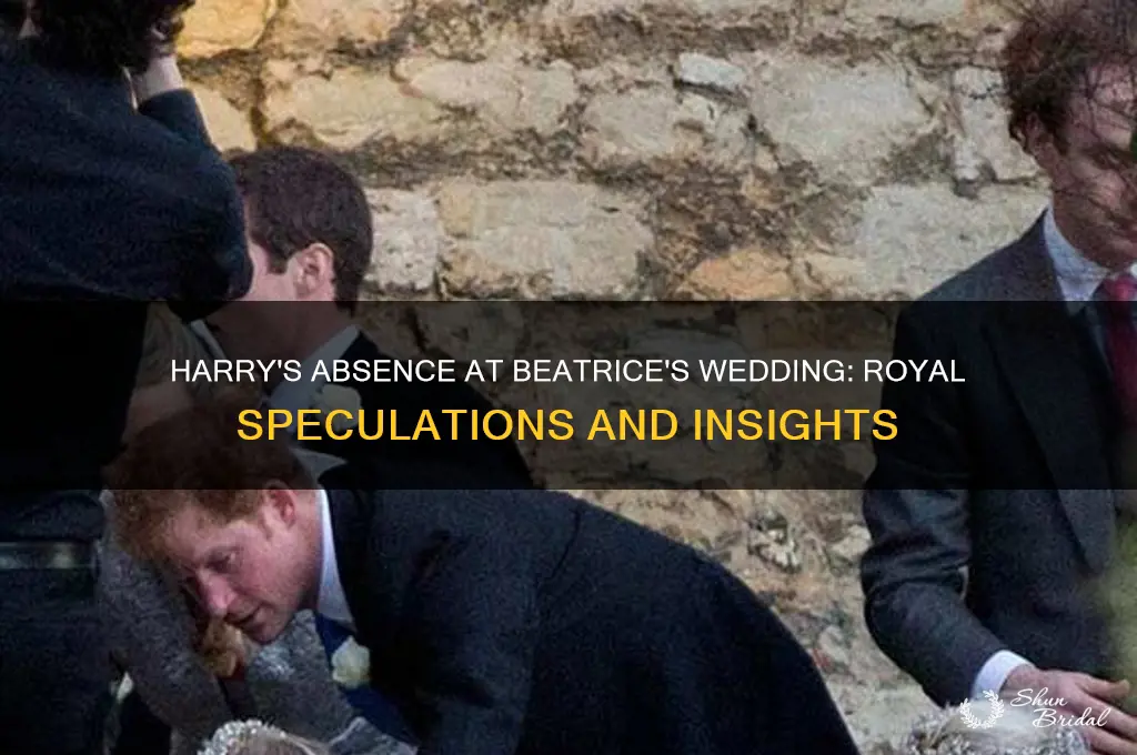 did harry go to beatrices wedding