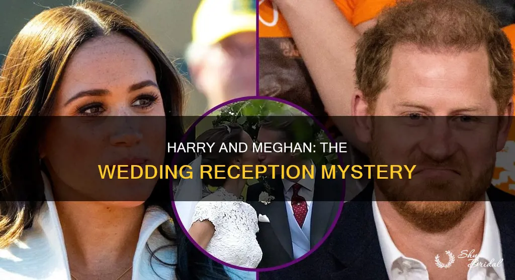 did harry take meagan to pippa