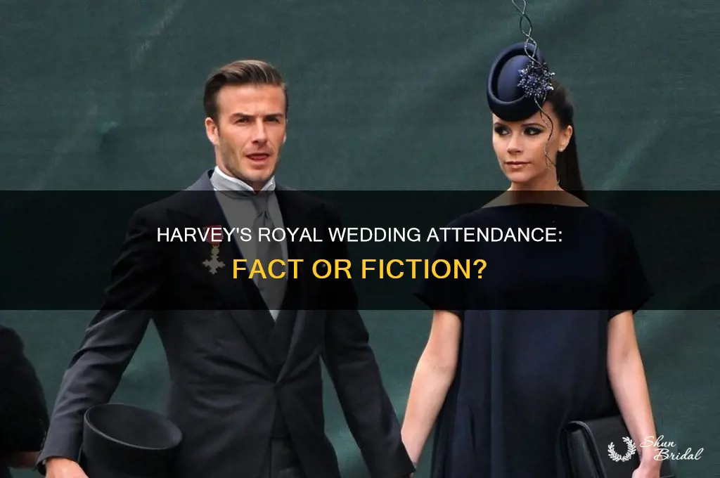 did harvey attend the royal wedding