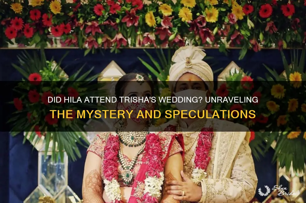 did hila go to trishas wedding
