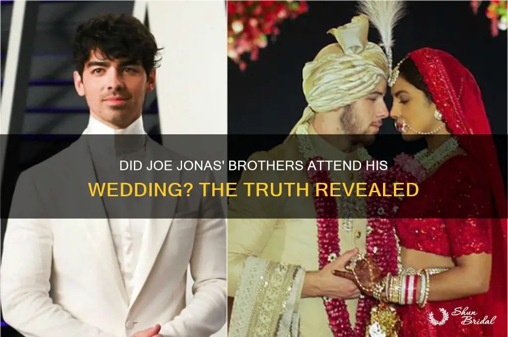 did his brothers go to joe jonas wedding